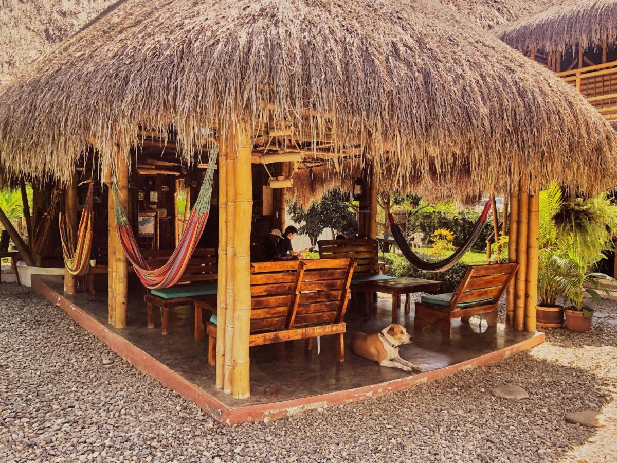 Coco Saenkala Hostel Palomino Zewnętrze zdjęcie